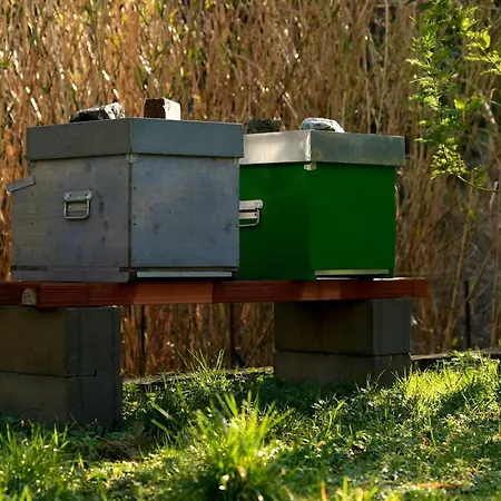 Ca Du Praettu 게스트하우스 아비솔라 수페리오레