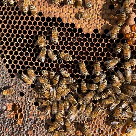 Pensjonat Ca Du Praettu