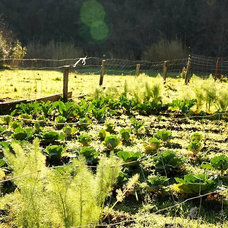 Pensjonat Ca Du Praettu Albisola Superiore